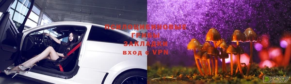 стаф Алексеевка