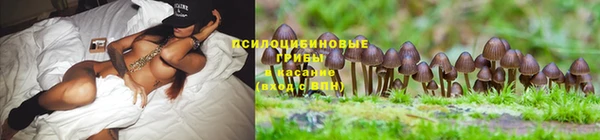 марихуана Алзамай