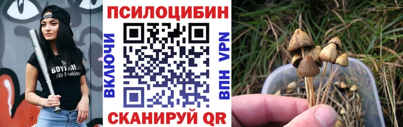 Галлюциногенные грибы Cubensis  Купить закладки  Заозёрск 